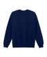 Navy*
