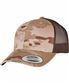 Arid/Brown